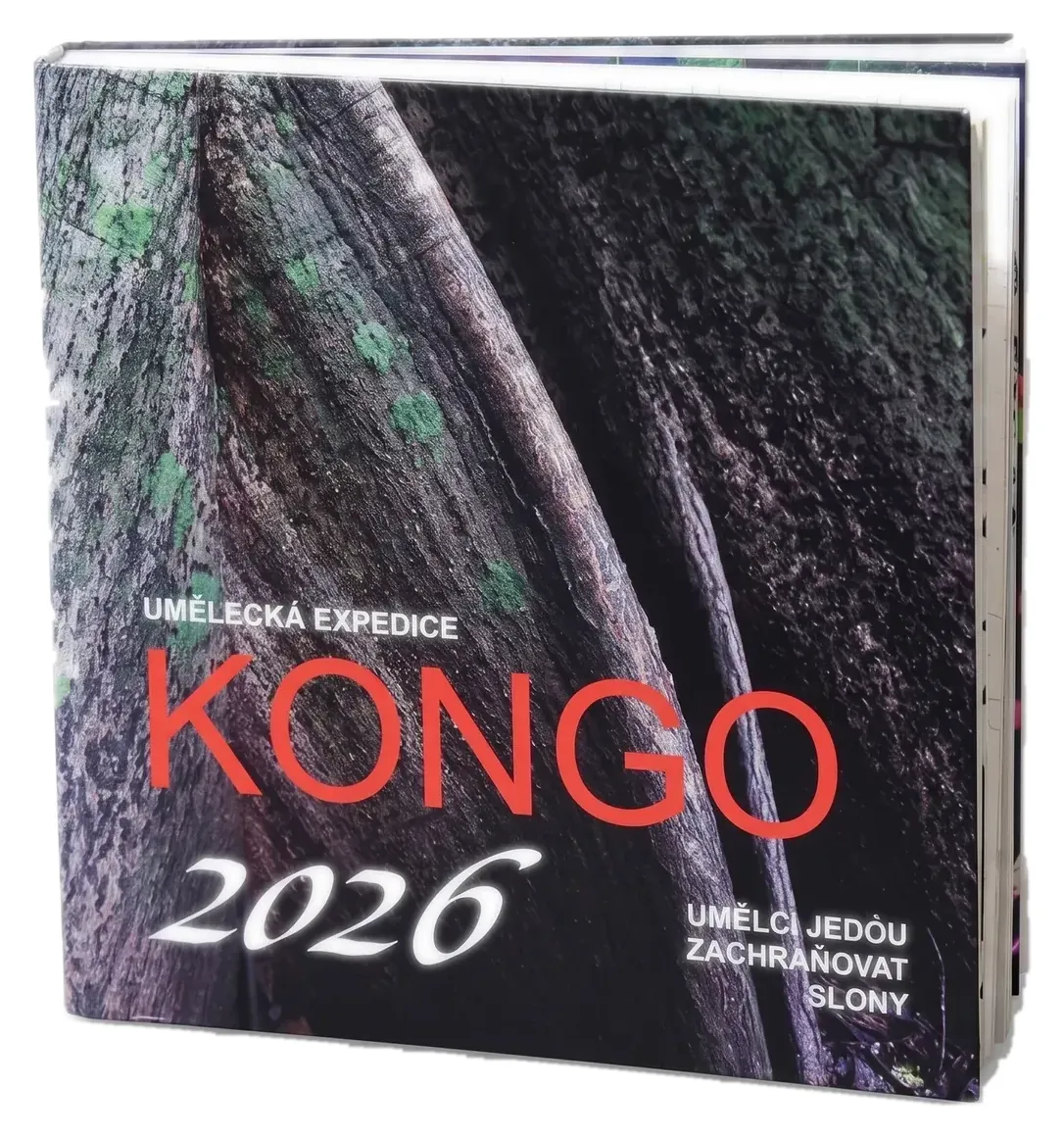 Congo 2026 – Artists on a Mission to Save Elephants — Veronika Souralová